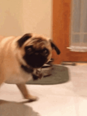 Acid Gifdump, April 13, 2016 (25 gifs)