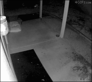 Acid Gifdump, April 13, 2016 (25 gifs)