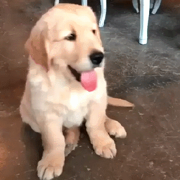 Acid Gifdump, April 13, 2016 (25 gifs)