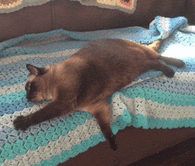 Acid Gifdump, April 22, 2016 (25 gifs)