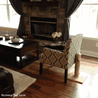 Acid Gifdump, April 22, 2016 (25 gifs)