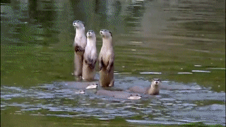 Acid Gifdump, April 22, 2016 (25 gifs)