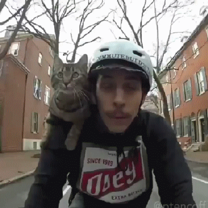 Acid Gifdump, April 22, 2016 (25 gifs)