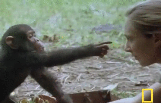 Acid Gifdump, May 2, 2016 (25 gifs)