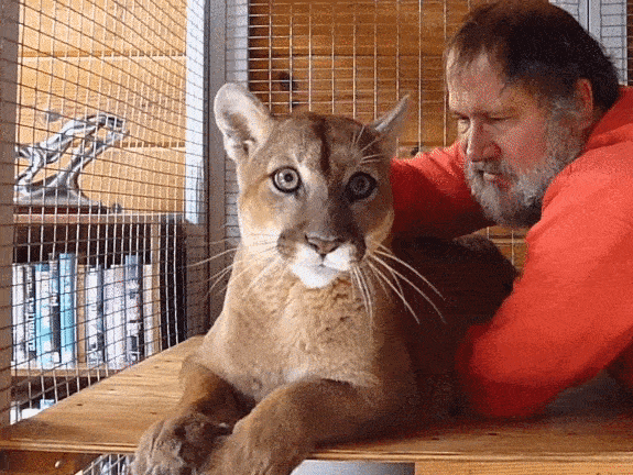 Acid Gifdump, May 2, 2016 (25 gifs)