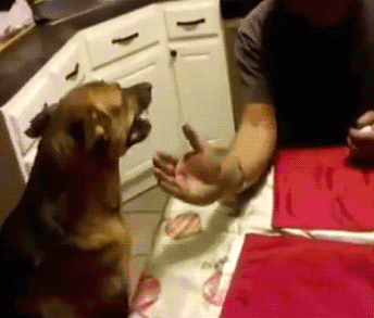 Acid Gifdump, May 2, 2016 (25 gifs)