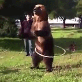 Acid Gifdump, May 4, 2016 (25 gifs)