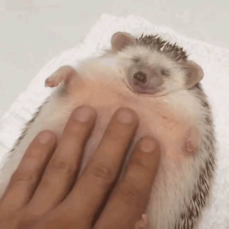 Acid Gifdump, June 7, 2016 (25 gifs)