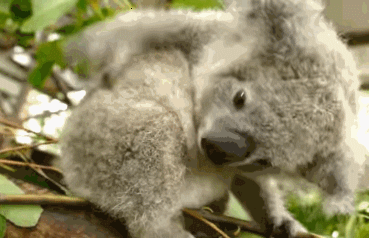 Acid Gifdump, June 7, 2016 (25 gifs)
