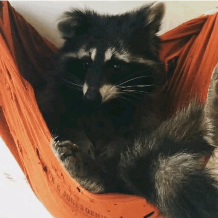 Acid Gifdump, June 9, 2016 (25 gifs)