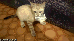 Acid Gifdump, June 23, 2016 (25 gifs)