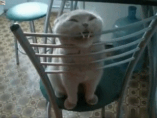 Acid Gifdump, June 23, 2016 (25 gifs)