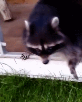Acid Gifdump, June 23, 2016 (25 gifs)