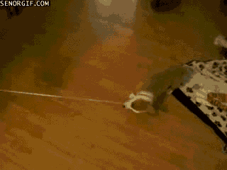 Acid Gifdump, July 4, 2016 (25 gifs)
