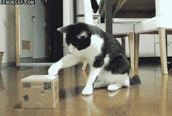 Acid Gifdump, July 4, 2016 (25 gifs)