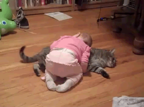 Acid Gifdump, July 4, 2016 (25 gifs)