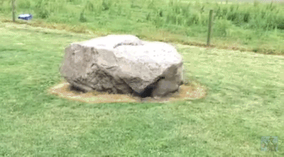 Acid Gifdump, July 4, 2016 (25 gifs)