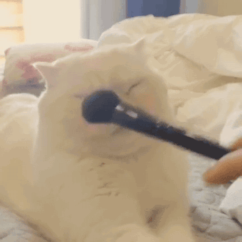 Acid Gifdump, July 6, 2016 (25 gifs)