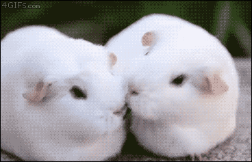 Acid Gifdump, July 6, 2016 (25 gifs)