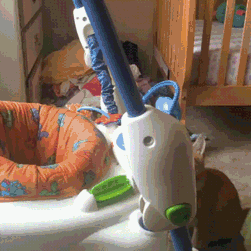 Acid Gifdump, July 6, 2016 (25 gifs)