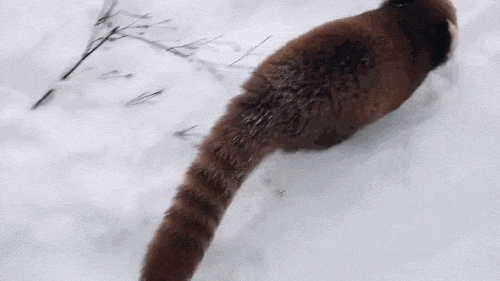 Acid Gifdump, July 6, 2016 (25 gifs)