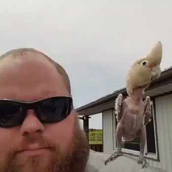 Acid Gifdump, July 6, 2016 (25 gifs)