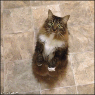 Acid Gifdump, July 6, 2016 (25 gifs)