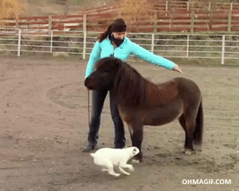 Acid Gifdump, July 6, 2016 (25 gifs)