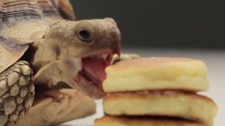 Acid Gifdump, August 01, 2016 (25 gifs)