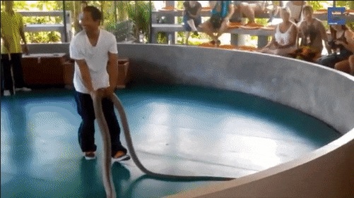 Acid Gifdump, August 03, 2016 (25 gifs)