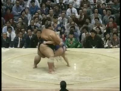 Awesome Sumo Fight