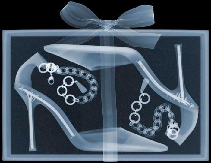 X Ray By Nick Veasey Pics