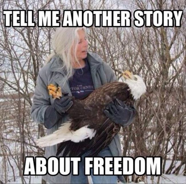 Canada Goose expedition parka outlet fake - 21 'Murica Memes To Keep Your Patriotism Flowing
