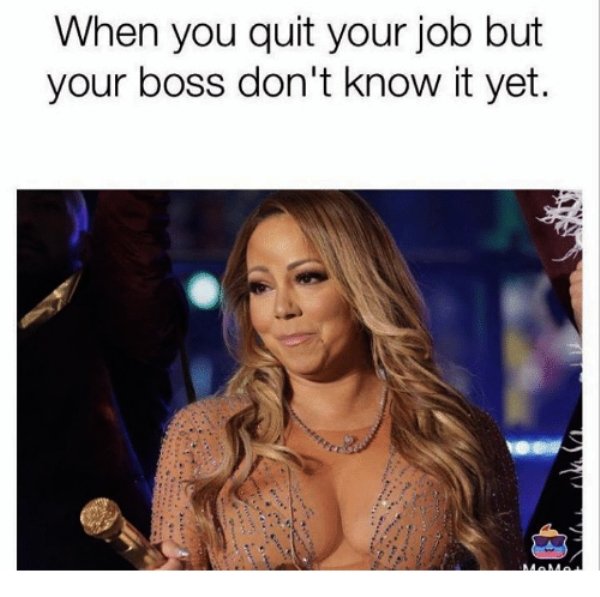 Quit Job Memes Pics