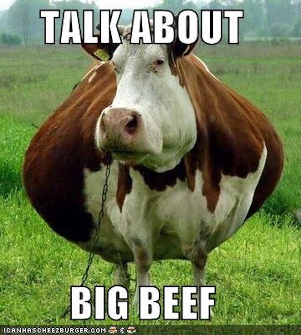 Beef Memes 30 Pics