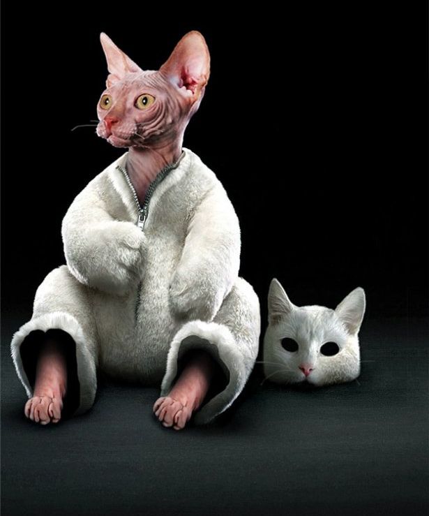Hilarious Photoshopped Animals (30 pics)