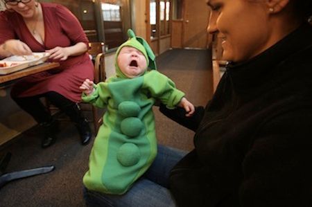 Babies Dressed Like Food (20 pics)