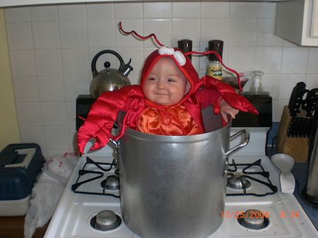 Babies Dressed Like Food (20 pics)