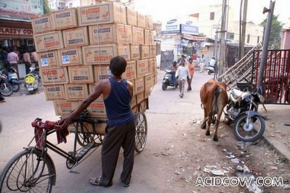 Logistics in the Arab Countries (31 pics)