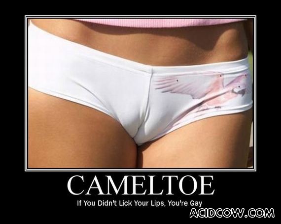 Demotivational Posters (40 pics)