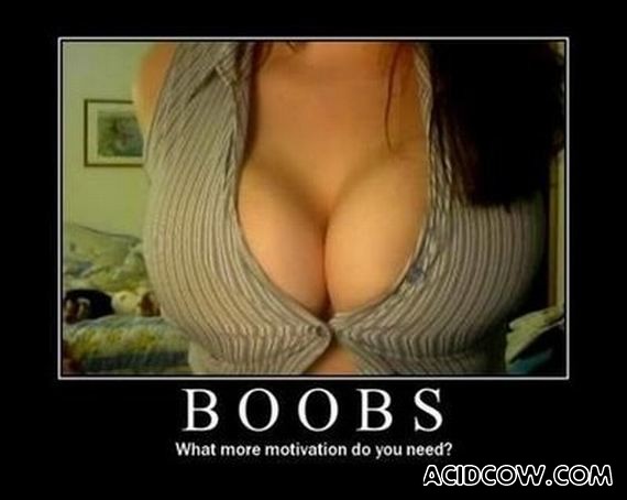 Demotivational Posters (40 pics)