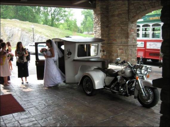 Very unusual wedding limo (19 pics)