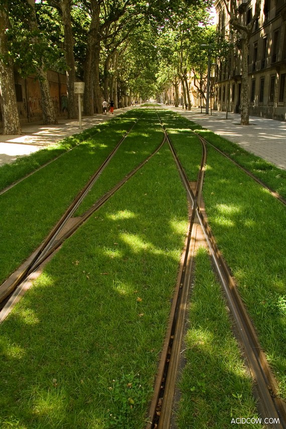 Europe’s Grass-Lined Green Railways (16 pics)