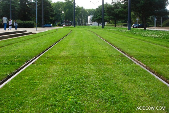 Europe’s Grass-Lined Green Railways (16 pics)