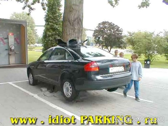 I`m parking like an idiot (86 pics)