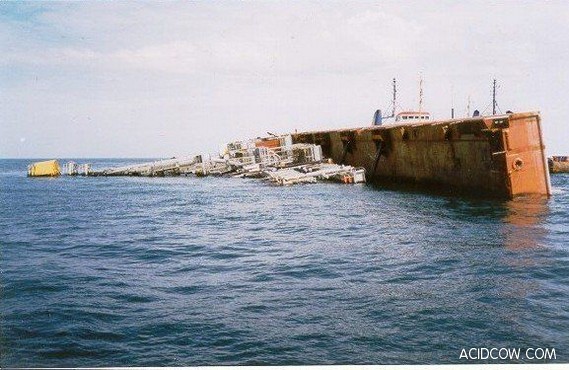 Sea Monsters (25 pics)