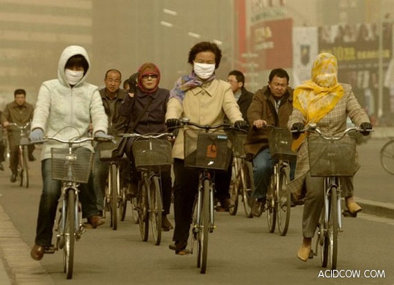 Pollution in China (11 pics)