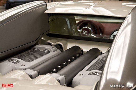 Bugatti Veyron Pegaso Edition (12 pics)