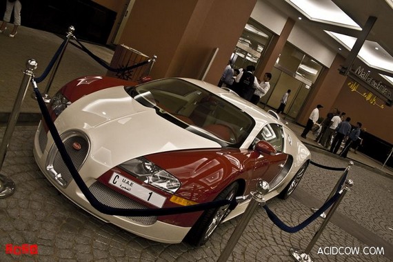 Bugatti Veyron Pegaso Edition (12 pics)