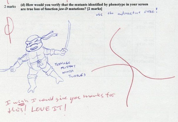 Student notebooks (9 pics)